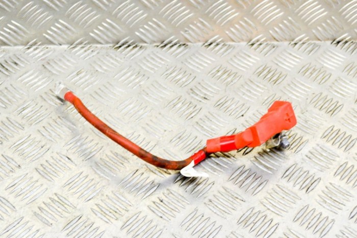 Cablu baterie pozitiv TESLA MODEL 3 2018 OEM: 1067971-00-D 12155860
