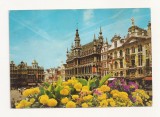 FA1 - Carte Postala - BELGIA - Bruxelles, Grand Place, circulata, Fotografie