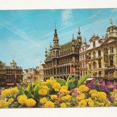 FA1 - Carte Postala - BELGIA - Bruxelles, Grand Place, circulata