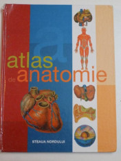 ATLAS DE ANATOMIE 2006 foto