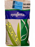 Seminte Porumb SY Pamplona FAO 250-290 sac 50 000, Syngenta