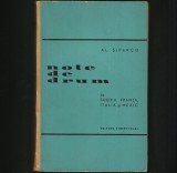 Cumpara ieftin NOTE DE DRUM DIN SUEDIA, FRANȚA, ITALIA ȘI MEXIC - AL. ȘIPERCO