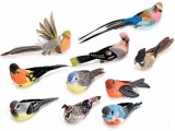 Cumpara ieftin Set 10 Pasari decorative 14 cm