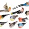 Set 10 Pasari decorative 14 cm
