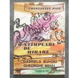 Constantin Paiu - O-nt&acirc;mplare de mirare (il: Gabriela Buhoiu; Gheorghe Mihai)