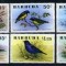 Barbuda 1976 Birds MNH S.695