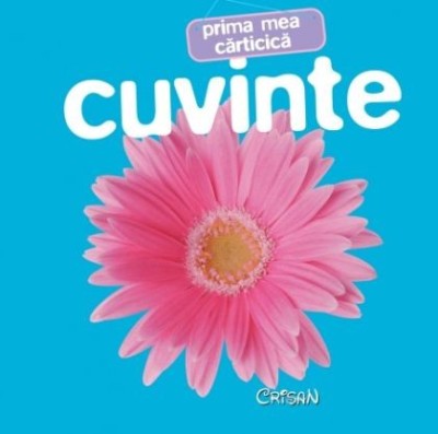 Cuvinte (Prima mea cărticică). Bestseller. Editia a 3-a foto