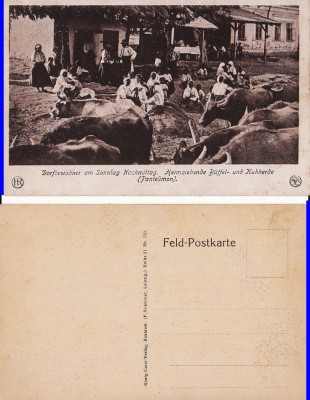 Pantelimon - Bucuresti - Tipuri foto