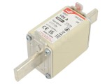 Siguranță NH1 125A 690VAC 550VDC Argintie, DF Electric