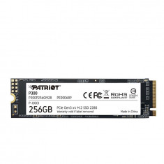 SSD P300 256GB PCI Express 3.0 x4 M.2 2280