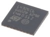 Microcontroler ARM 80MHz 256kB FLASH