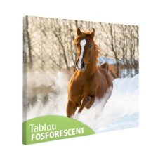 Tablou fosforescent Manz prin zapada - 30 cm x 30 cm
