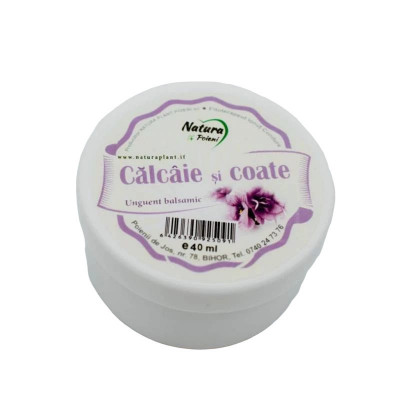 UNGUENT BALSAMIC CALCAIE SI COATE 40ML foto