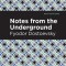 Notes from Underground