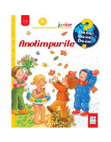 Anotimpurile - Hardcover - Constanza Droop - Casa