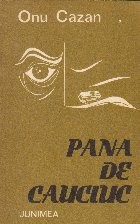 Pana de cauciuc foto