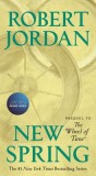 New Spring: The Novel