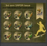 AFRICA DE SUD 2010 FOTBAL CUPA MONDIALA