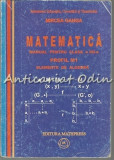Matematica. Manual Pentru Clasa a XII-a M1 - Mircea Ganga