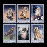 Cucuvele, &icirc;n coli mici de 4 timbre, 2003 LP 1610