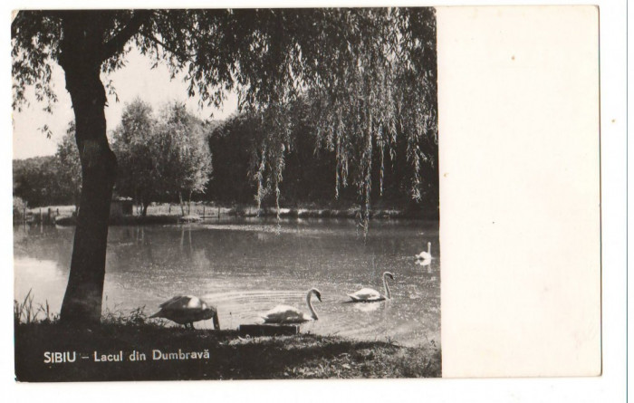 CPI B13625 CARTE POSTALA - SIBIU - LACUL DIN DUMBRAVA, RPR