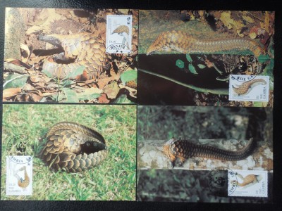 Gambia-Fauna ,pangolini -set complet ilustrate maxime foto