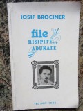 IOSIF BROCINER FILE RISIPITE ADUNATE