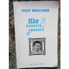 IOSIF BROCINER FILE RISIPITE ADUNATE