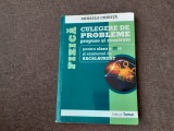 P4 FIZICA CULEGERE DE PROBLEME PENTRU CLASA A IX A SI BACALAUREAT MIHAELA CHIRITA