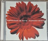 cd vigilantes of love summer shine