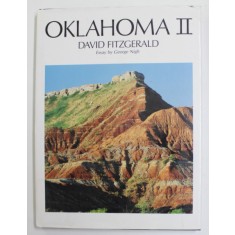 OKLAHOMA II by DAVID FITZGERALD , 1994