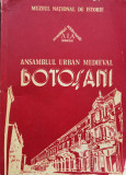 Ansamblul Urban Medieval Botosani - Eugenia Greceanu , F234