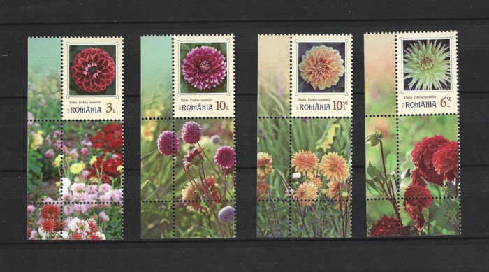 ROMANIA 2022 - DALII, VINIETA 3, MNH - LP 2390