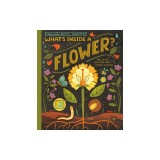 What's Inside a Flower?: And Other Questions about Science &amp; Nature