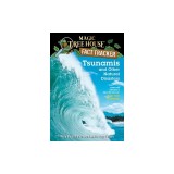 Tsunamis and Other Natural Disasters: A Nonfiction Companion to High Tide in Hawaii