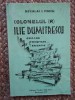 Neculai I. Staicu - Colonelul (R) Ilie Dumitrescu