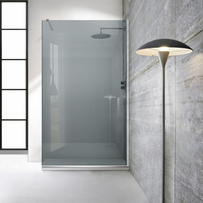 Paravan dus walk-in Aqua Roy INOX, sticla 8 mm gri, securizata, anticalcar, 120x195 cm foto