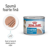 Cumpara ieftin Royal Canin Starter Mousse, mama si puiul, hrana umeda caine (textura spumoasa), 195 g