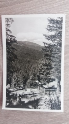 MRC - CARTI POSTALE PALTINIS NR 3 foto