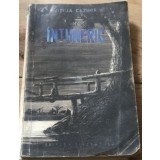 LITR8 Literatura, Intuneric - Otilia Cazimir
