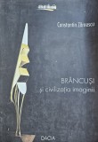 Constantin Zărnescu, Br&acirc;ncuși și civilizația imaginii, 2001