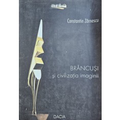 Constantin Zărnescu, Br&acirc;ncuși și civilizația imaginii, 2001