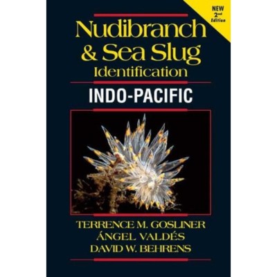 Nudibranch and Sea Slug Identification - Indo-Pacific 2nd Edition foto