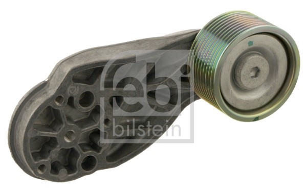 FEBI BILSTEIN 30646 Rola ghidare/conducere, curea transmisie