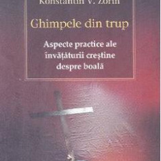 Ghimpele din trup - Konstantin V. Zorin