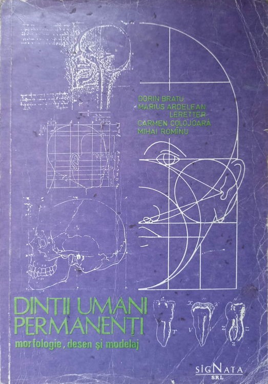 DINTI UMANI PERMANENTI. MORFOLOGIE, DESEN SI MODELAJDORIN BRATU