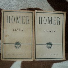 ILIADA/ODISEEA-HOMER (2 VOL)