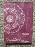 IMPLETITURI CU ANDRELE - ELISABETA IOSIVONI