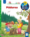Padurea - Marian Godina - Casa