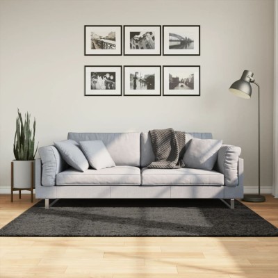 vidaXL Covor ISTAN, cu fire &amp;icirc;nalte, aspect lucios, antracit, 120x170cm foto
